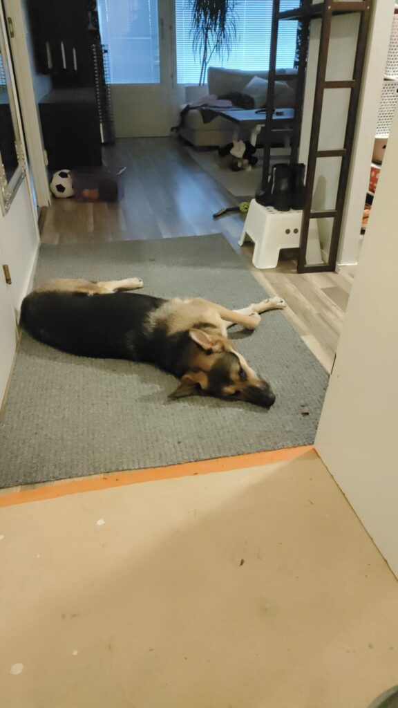 Kylpyhuoneremontin kesto ja vaiheet määräytyvät myös sen mukaan asutaanko asunnossa remontin aikana.